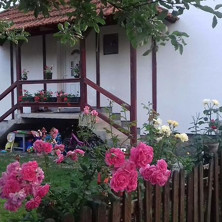 Apartment Dil Kulen Vakuf Exterior photo